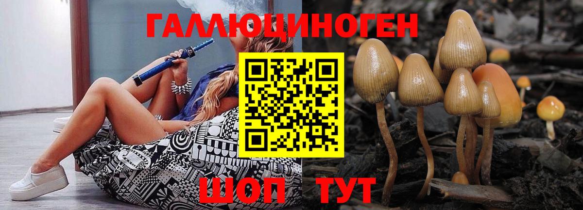 Псилоцибиновые грибы Magic Shrooms  Вход с VPN  Канск 