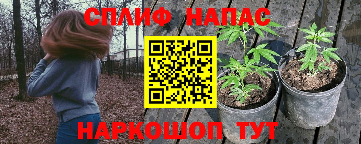 Каннабис тримм  Бошки Шишки гибрид  Конопля конопля  Вход с VPN  Канск  Бошки марихуана THC 21% 